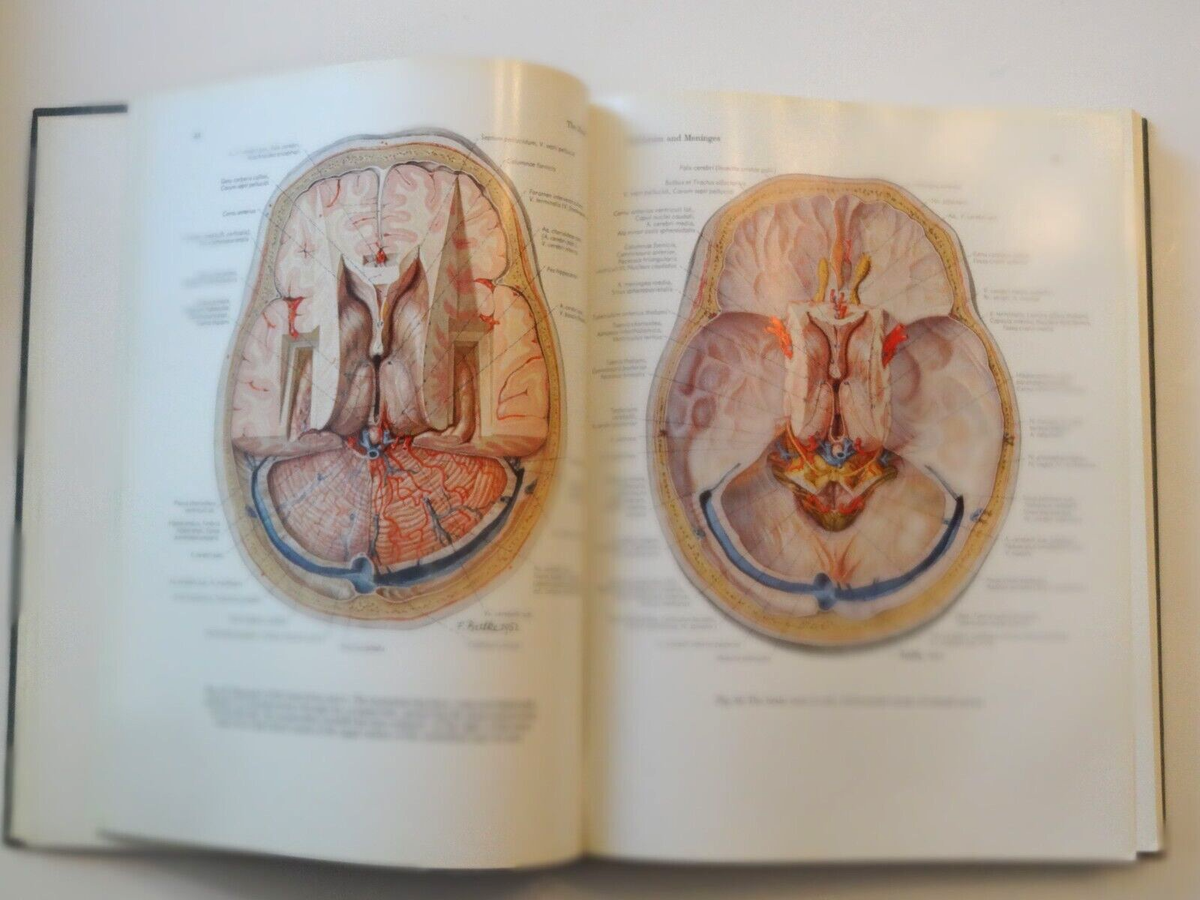 Atlas of Topographical and Applied Human Anatomy Vol. One Atlas of Topographical and Applied Human Anatomy Vol. One