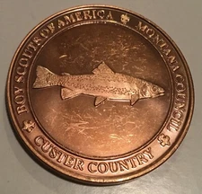 Boy Scouts Of America BSA Montana Council Custer County Coin Medal
