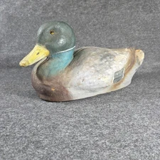 J C Higgins Vintage Life-Like Mallard Duck Decoy with Glass Eyes for Hunting