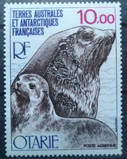Französische Gebiete Antarktis 1977 Mi 117/119** nur 1v Robbe im Angebot (1536)