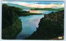 South Holston Lake - Eastern TENNESSEE Postcard
