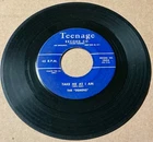 The Demens 1957 DOO WOP 45 Take Me As I Am / You Broke My Heart TEENAGE VG HEAR