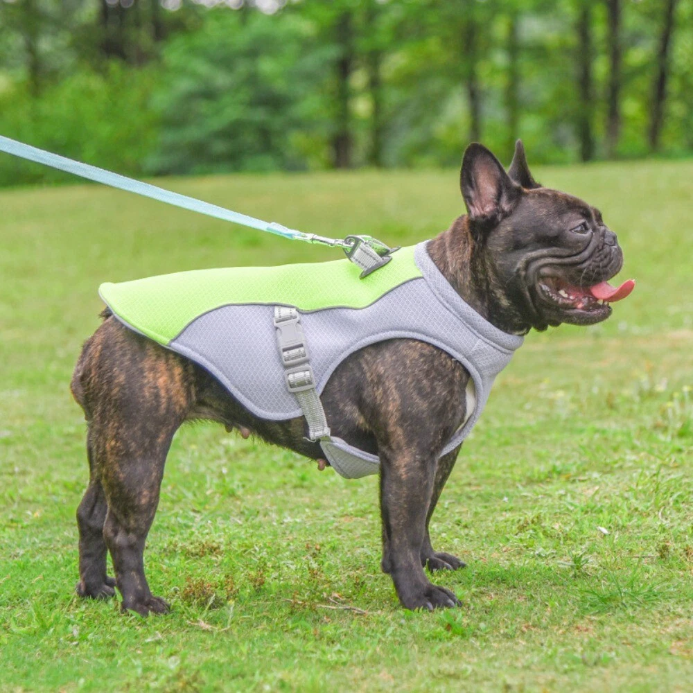 Puppy cooling vest 2025