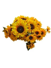 ASHLAND BASIC BUSH SMALL & LARGE YELLOW SUNFLOWERS Set Of 6 BUSHES 