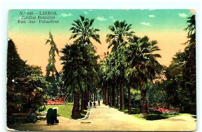 S03-3686, LISOBA, JARDIM BOTANICO, RUA DAS PALMERIAS, 1900S POSTCARD