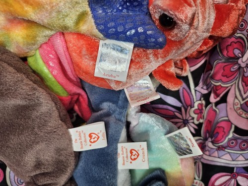 5x WASSER WASSERTIERE KONVOLUT ✨️ MWMT Mint, Near Mint ✨️ TY Beanie Baby Plüsch - Bild 9 von 9