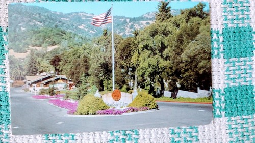 POST CARD ITALIAN SWISS COLONY WINE ROOM SAN FRANCISCO CALIFORNIA - Picture 11 of 12