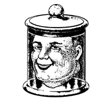 Miten And Deva Premal - Trusting The Silence (CD, Album) (Near Mint (NM or M-)) 