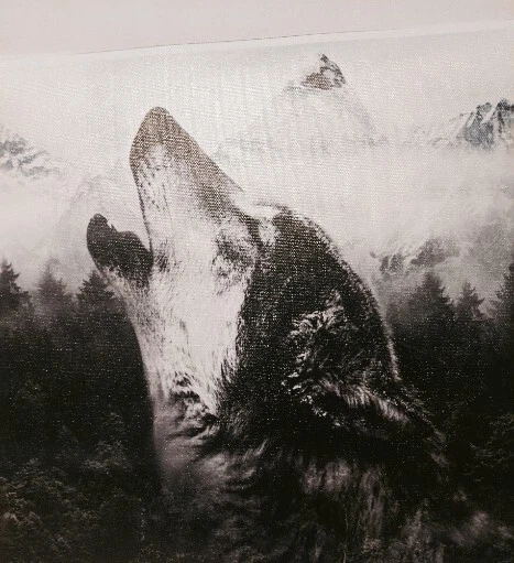 Unframed TYG Canvas Wall Art Wolf Howling TYGSLL-C 12x 18 inch - Image 2 of 4