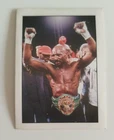 MARVIN HAGLER BOXING CARD I GRANDI CAMPIONI DELLO SPORT EDIGAMMA 1997