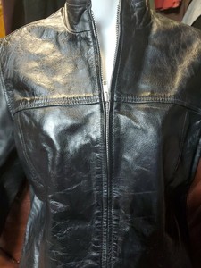 rainforest windbreaker