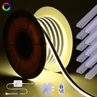 DELight 50FT RGB Neon Rope Lights w/2" Plastic U Channel System 10PCS DEL-D1M50R