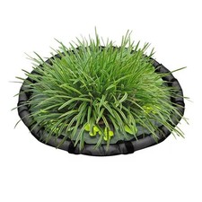 Floating Plant Corral for Indoor Duckweed Water for Duckweed Water Outdoor6687