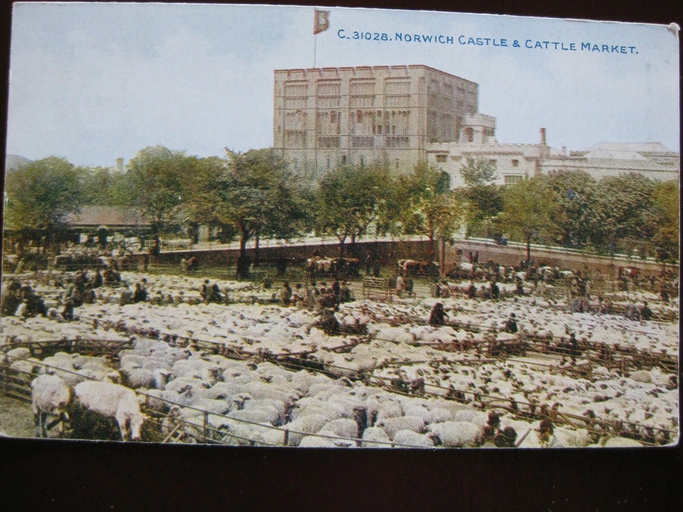 Norwich Castle & Cattle Market, Norfolk - Image 1 of 1
