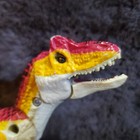 Picture 5 of 9