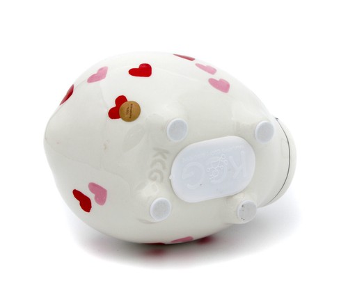Spardose Sparschwein Hochzeitsschwein Hochzeitsgeschenk Sparbüchse Gelddose XXL - Picture 34 of 55