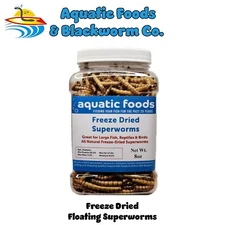 Superworms--Freeze Dried for Koi, Large Fish, Turtles, Birds, Reptiles. JAR