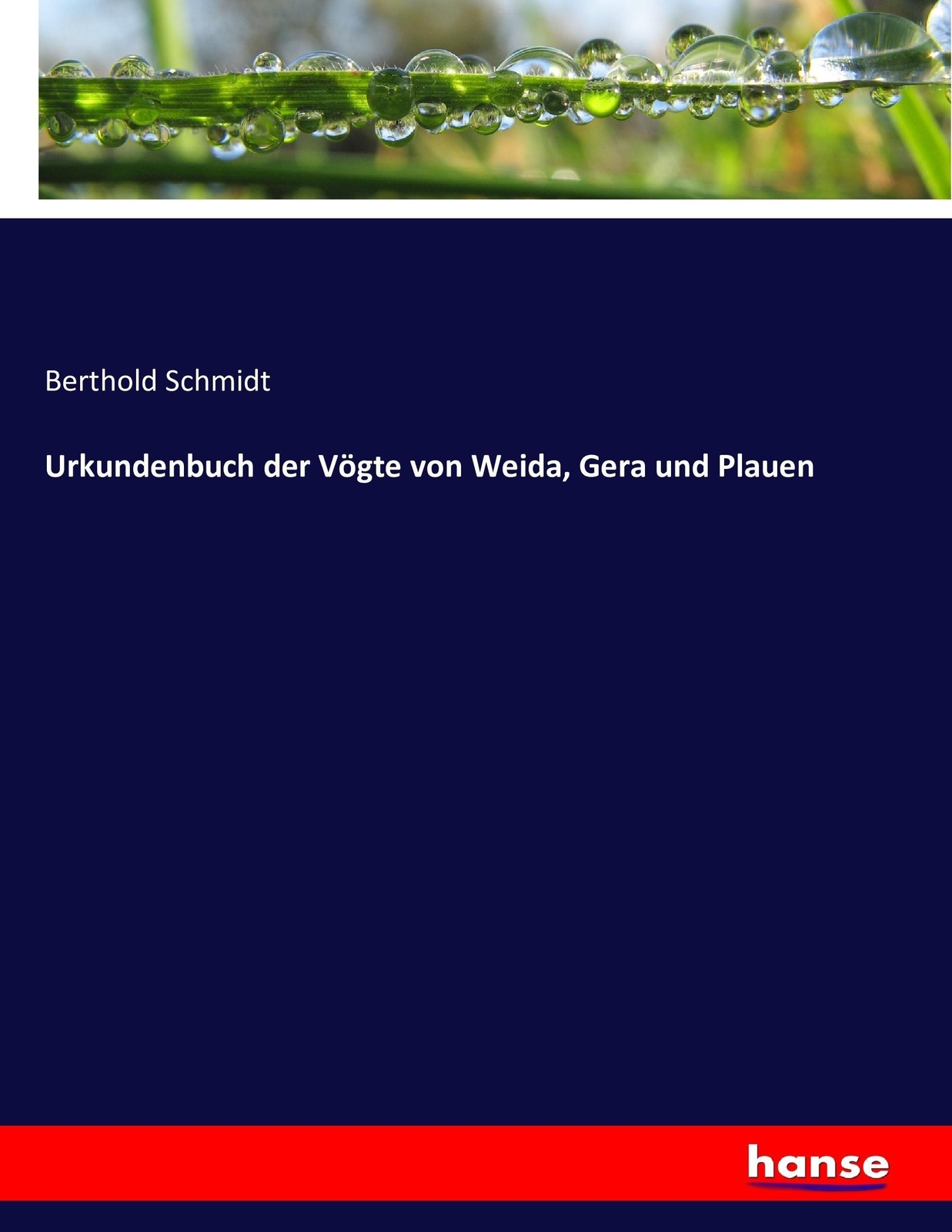 Urkundenbuch Der Vögte Von Weida, Gera Und Plauen Berthold Schmidt