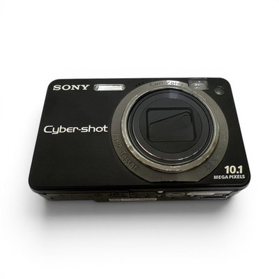 Sony Cyber-shot DSC-W170 10.1MP Digital Camera - Silver (DSC-W170