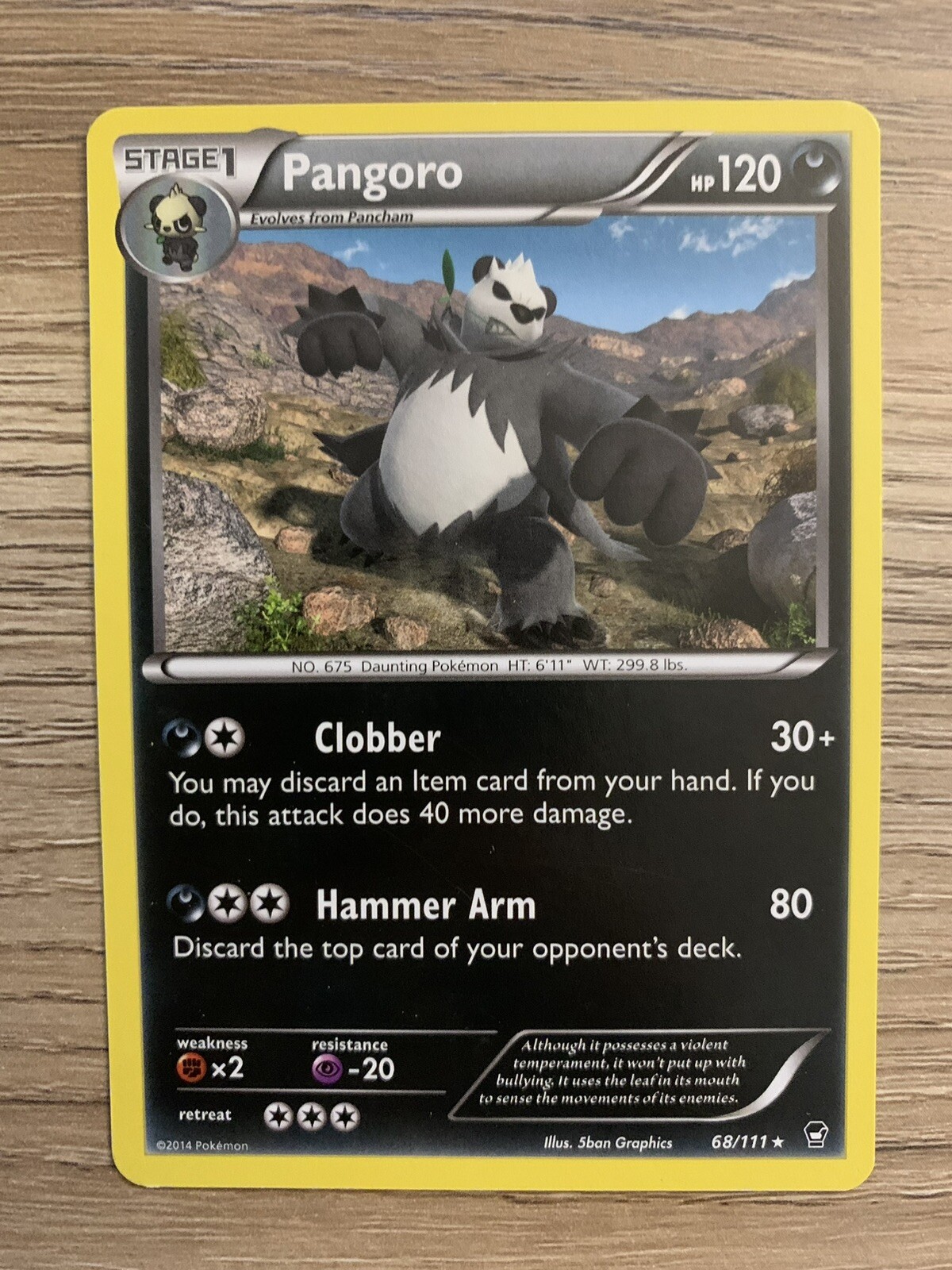PANGORO 68/111 Rare Non Holo XY 2014 Pokémon Furious Fists TCG