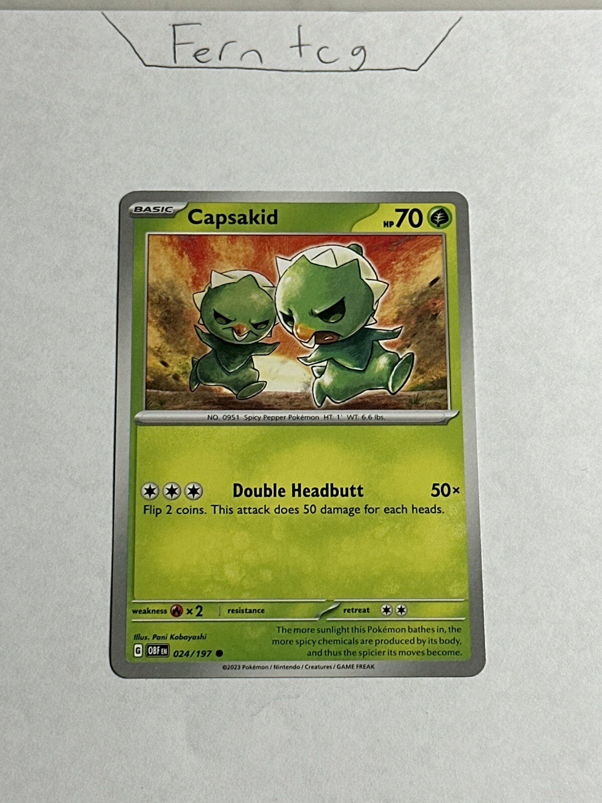 Pokemon Capsakid 024/197 Common NM Obsidian Flames Ships Same Day!