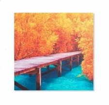 Tableau cadre toile Pont et arbre forêt - automne - 50 x 50 cm