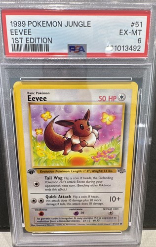 Eevee (1st Edition) graded PSA 6 for sale on eBay