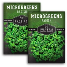 Radish Microgreens Seeds for Sprouting – Plant & Grow Spicy Radish Shoots for...