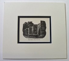 WATKINS-PITCHFORD (BB) Essex Bridge, Great Haywood Print ex Narrow Boat