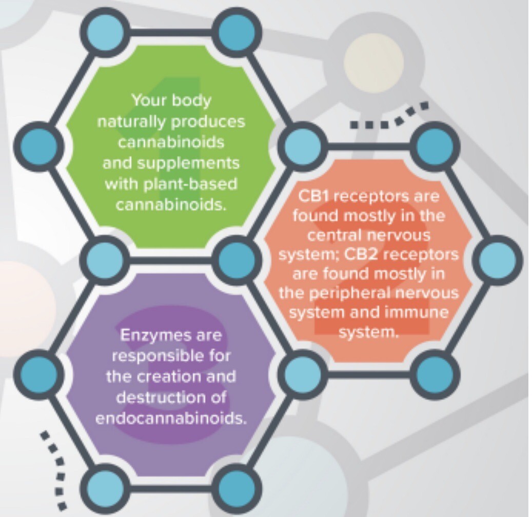 30 Pack - ZILIS™ UltraShield™ Powder Sticks 0.07oz/2g each - 2.1oz/60g