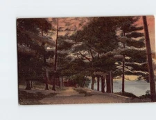 Postcard The Pines Haverhill Massachusetts USA