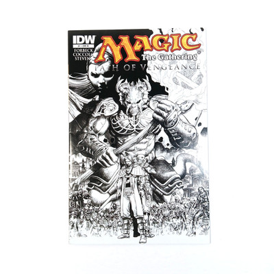 Magic The Gathering Path of Vengeance #1 IDW Publishing 2012 Martin Coccolo, NM