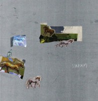 Fazed On A Pony - Swan - Vinyl Record Lp - G4Z