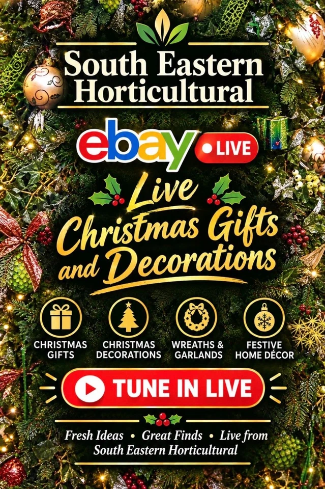 Christmas Clearance!