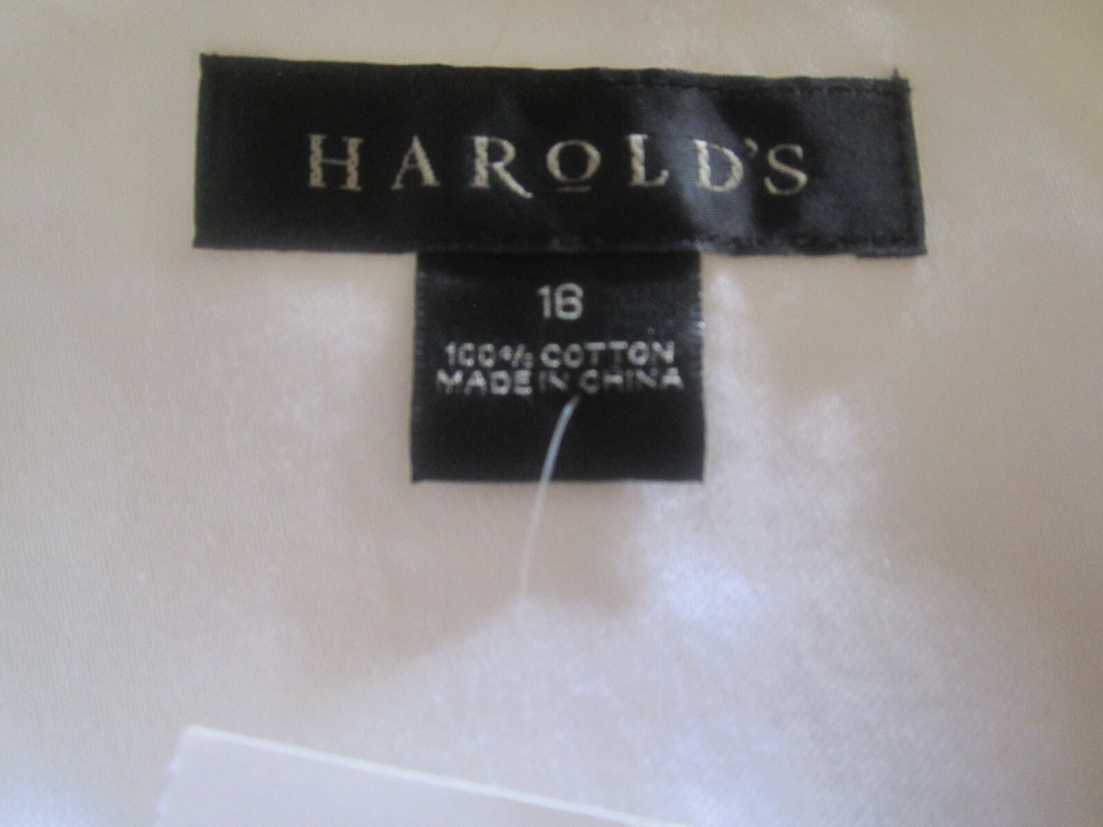 Foto 12 di 13