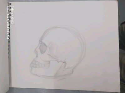 ORIGINAL Pencil / Charcoal Sketches Vintage Art Student Studies Skull