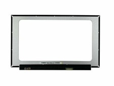 OEM MSI Raider GE66 15.6" FHD 300Hz LCD Screen Display MS-1544