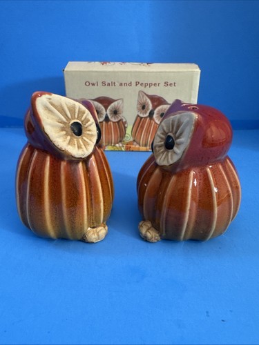 Scuoti sale e pepe gufo cracker-barile smaltato in ceramica con scatola 2,75" usato in ottime condizioni - Foto 4 di 8