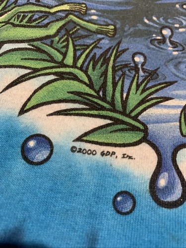 Vintage Liquid Blue 2000 Grateful Dead Here Comes Shine Tee XXL Double Sided - Bild 3 von 9