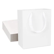QIELSER 24 pc Kraft Gift Bags - Medium Size 8x4.75x10 Inches, White Paper Sho...