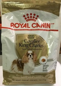 royal canin king charles cavalier puppy