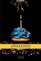 Awakened A Divine Healing From Drug Addiction Erin Kalte Taschenbuch Englisch