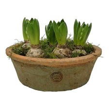 Kew Gardens Bulb Bowl Round Terracotta Dish Planter, Shallow Succulent Plant Pot