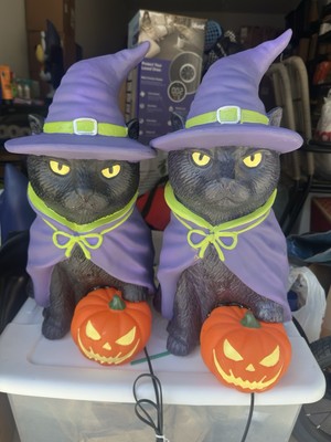 Cracker Barrel Black Cat Witch Blow Mold 2 Ft Halloween 2025