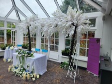 3.2m Blossom Trees  (X2) in Half Arch Style for Weddings, and other event. Hire