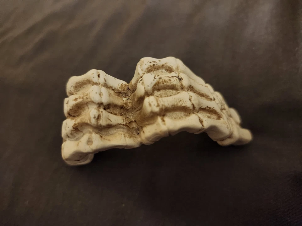 Decoración gesto corazón amor manos esqueleto Foto 3 de 4