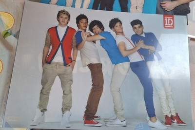 One Direction Klarsichthülle Japan Edition