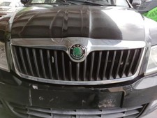 Calandre Skoda OCTAVIA