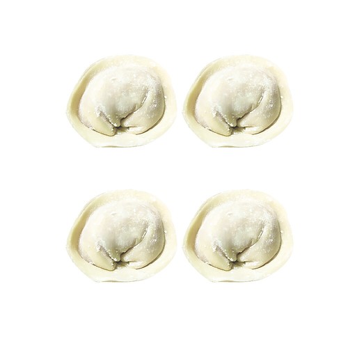 Customized Dumpling Mold For Tortellini Empanada Gyoza Wonton Making Machine - Picture 14 of 15