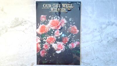 Gibson Get Well Card: Good Health & Happiness to Someone As Special As You!